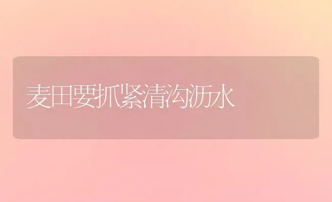 麦田要抓紧清沟沥水 | 养殖技术大全