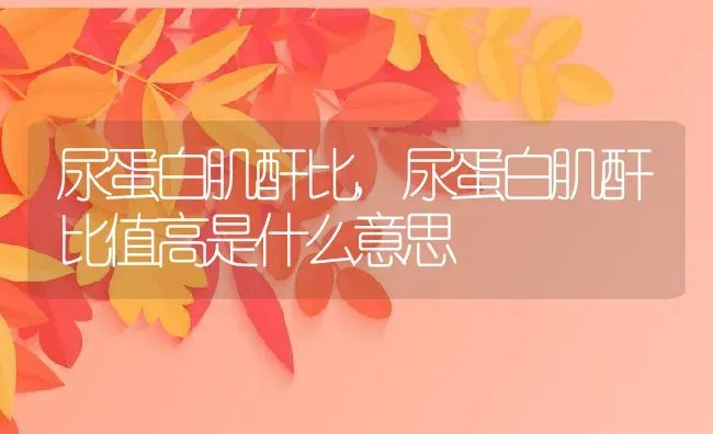 尿蛋白肌酐比,尿蛋白肌酐比值高是什么意思 | 养殖科普