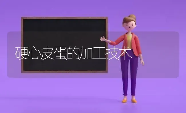 硬心皮蛋的加工技术 | 养殖技术大全