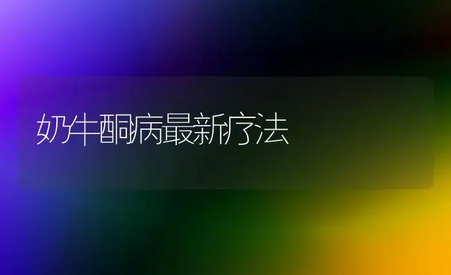 奶牛酮病最新疗法 | 养殖知识