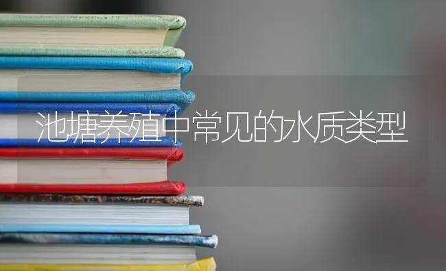 池塘养殖中常见的水质类型 | 养殖技术大全