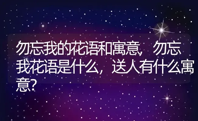 勿忘我的花语和寓意,勿忘我花语是什么，送人有什么寓意？ | 养殖科普