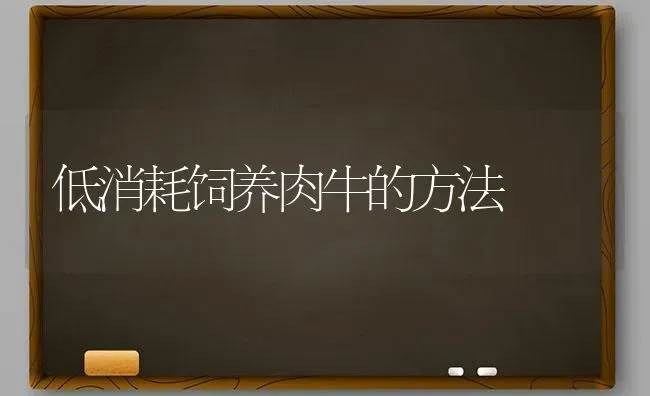 低消耗饲养肉牛的方法 | 养殖知识