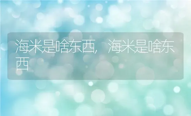 海米是啥东西,海米是啥东西 | 养殖科普