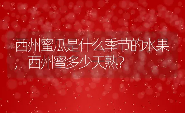 黄金草的养殖方法和注意事项,种植在园子的黄金草这样培育？ | 养殖科普