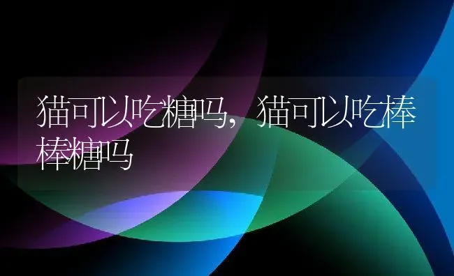 猫可以吃糖吗,猫可以吃棒棒糖吗 | 养殖资料