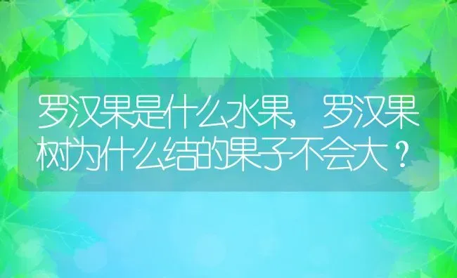 罗汉果是什么水果,罗汉果树为什么结的果子不会大？ | 养殖科普
