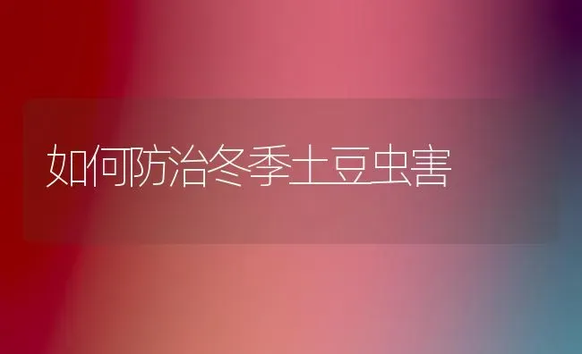 如何防治冬季土豆虫害 | 养殖技术大全