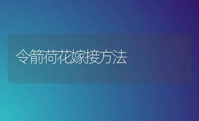 令箭荷花嫁接方法 | 养殖技术大全