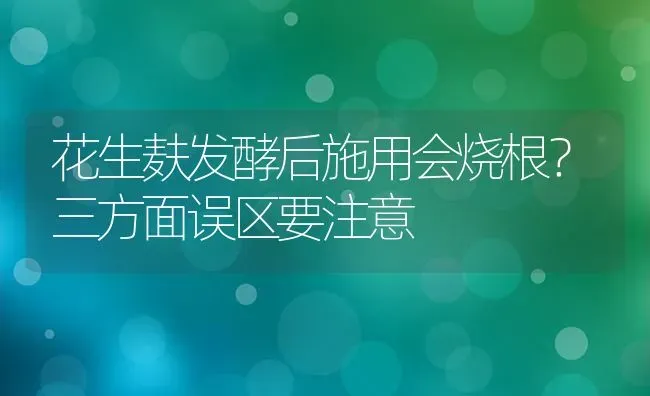 花生麸发酵后施用会烧根?三方面误区要注意 | 养殖技术大全