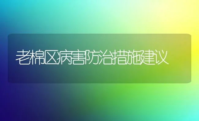 老棉区病害防治措施建议 | 养殖知识