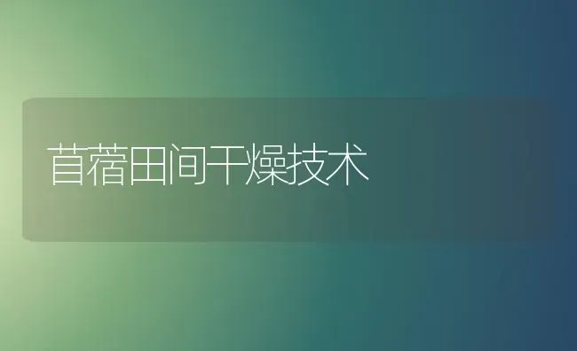 苜蓿田间干燥技术 | 养殖技术大全