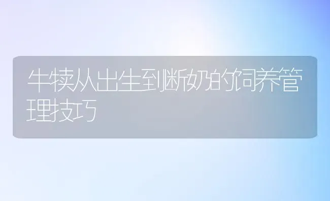 牛犊从出生到断奶的饲养管理技巧 | 养殖知识