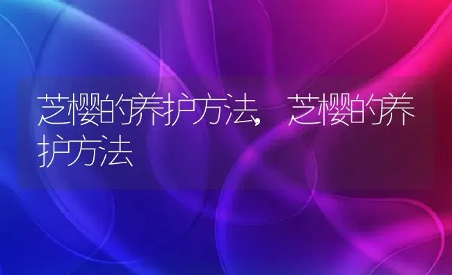 芝樱的养护方法,芝樱的养护方法 | 养殖科普
