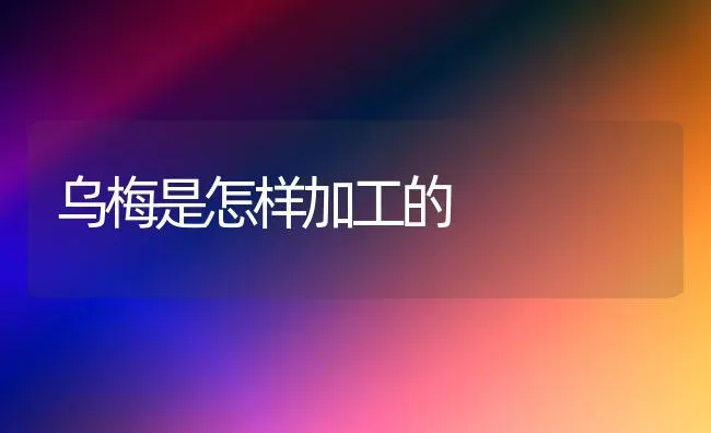 乌梅是怎样加工的 | 养殖技术大全