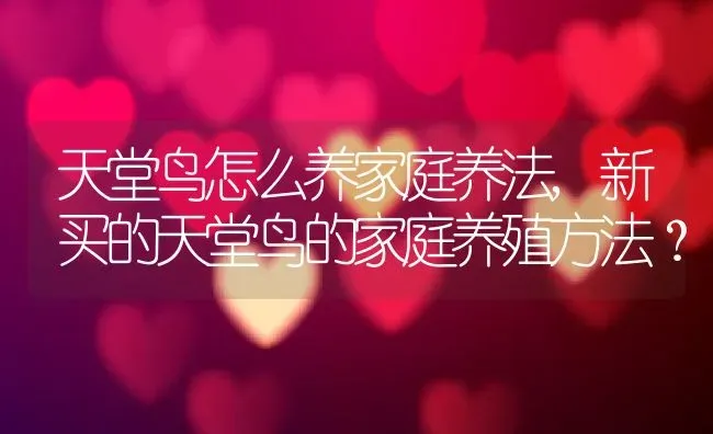 天堂鸟怎么养家庭养法,新买的天堂鸟的家庭养殖方法？ | 养殖科普