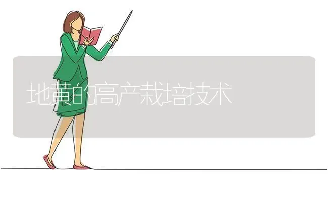 地黄的高产栽培技术 | 养殖技术大全
