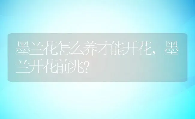 墨兰花怎么养才能开花,墨兰开花前兆？ | 养殖科普