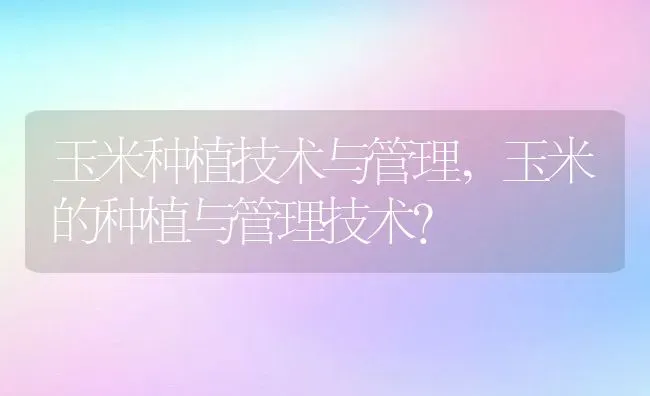 玉米种植技术与管理,玉米的种植与管理技术？ | 养殖科普