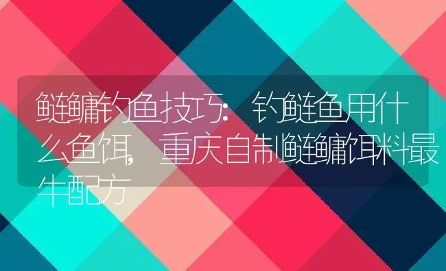 鲢鳙钓鱼技巧:钓鲢鱼用什么鱼饵,重庆自制鲢鳙饵料最牛配方 | 养殖学堂