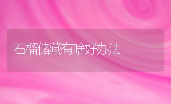 石榴储藏有啥好办法 | 养殖技术大全