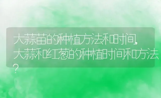 大蒜苗的种植方法和时间,大蒜和红葱的种植时间和方法？ | 养殖科普