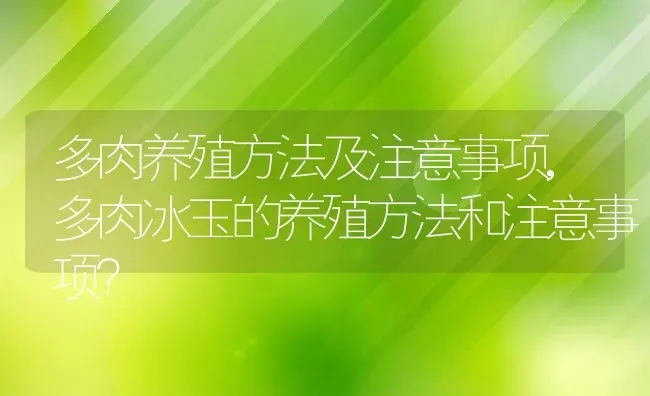 多肉养殖方法及注意事项,多肉冰玉的养殖方法和注意事项？ | 养殖科普