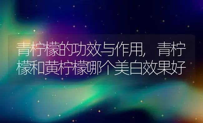 青柠檬的功效与作用,青柠檬和黄柠檬哪个美白效果好 | 养殖学堂