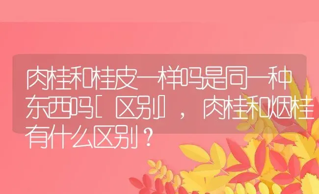 肉桂和桂皮一样吗是同一种东西吗[区别],肉桂和烟桂有什么区别？ | 养殖科普