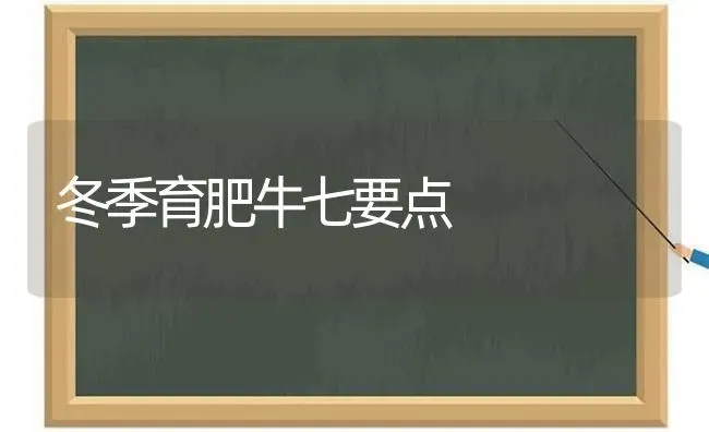 冬季育肥牛七要点 | 养殖技术大全