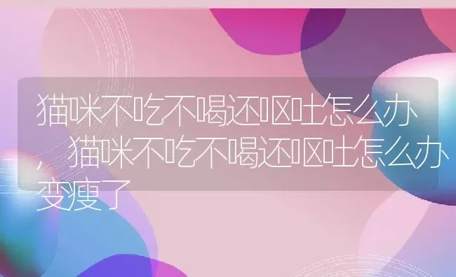猫咪不吃不喝还呕吐怎么办,猫咪不吃不喝还呕吐怎么办变瘦了 | 养殖科普