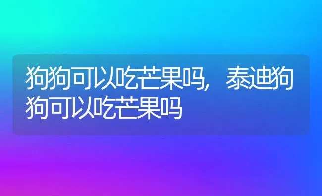 狗狗可以吃芒果吗,泰迪狗狗可以吃芒果吗 | 养殖资料