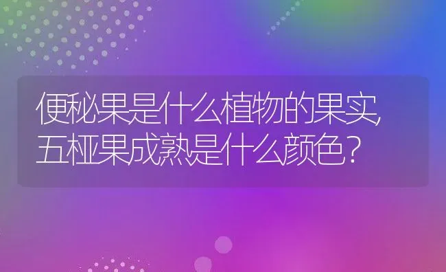 便秘果是什么植物的果实,五桠果成熟是什么颜色？ | 养殖科普