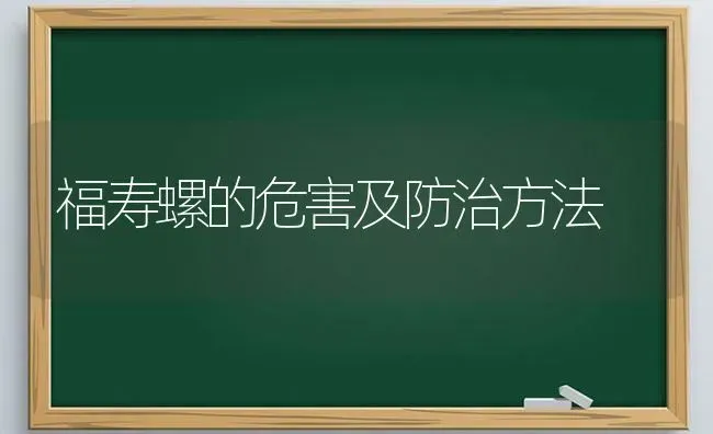 福寿螺的危害及防治方法 | 养殖知识