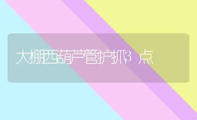 大棚西葫芦管护抓3点 | 养殖技术大全