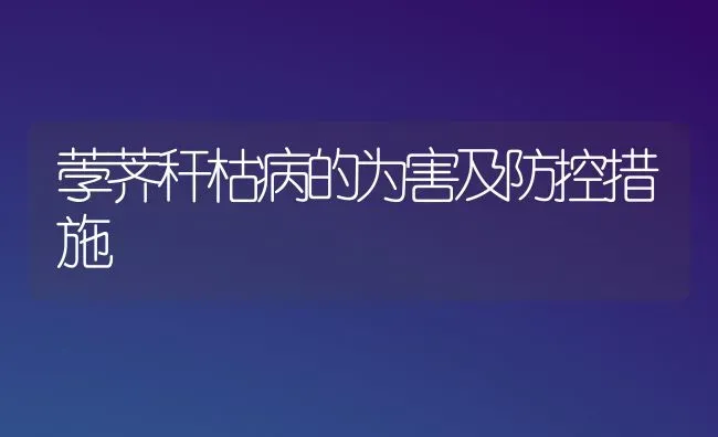 荸荠秆枯病的为害及防控措施 | 养殖知识