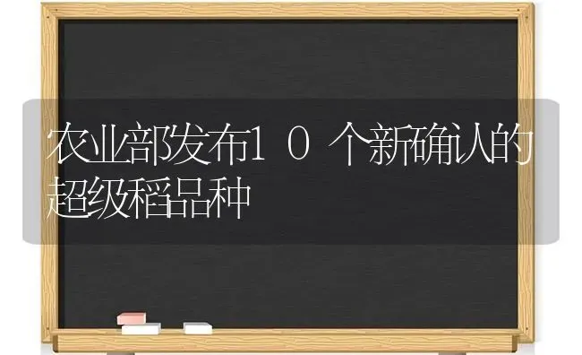 农业部发布10个新确认的超级稻品种 | 养殖技术大全