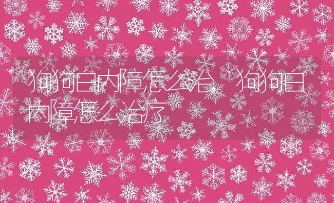 狗狗白内障怎么治,狗狗白内障怎么治疗 | 养殖科普