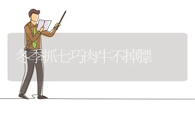 冬季抓七巧肉牛不掉膘 | 养殖知识