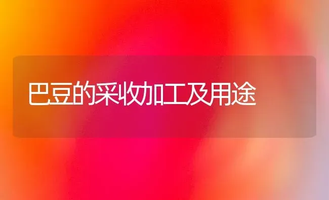巴豆的采收加工及用途 | 养殖技术大全