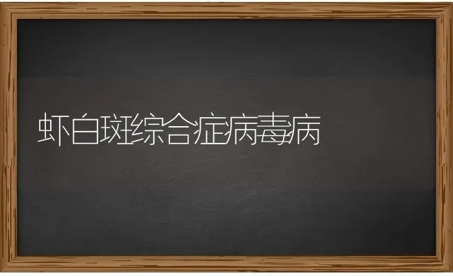 虾白斑综合症病毒病 | 养殖技术大全