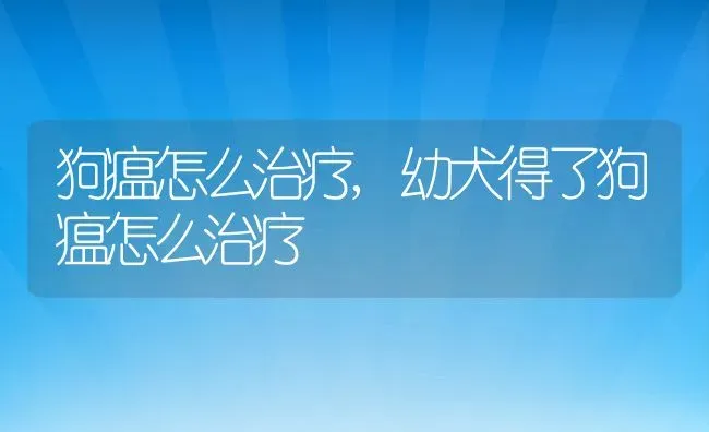 狗瘟怎么治疗,幼犬得了狗瘟怎么治疗 | 养殖科普