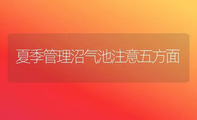 夏季管理沼气池注意五方面 | 养殖知识