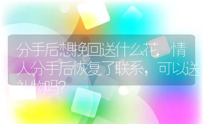 分手后想挽回送什么花,情人分手后恢复了联系，可以送礼物吗？ | 养殖学堂