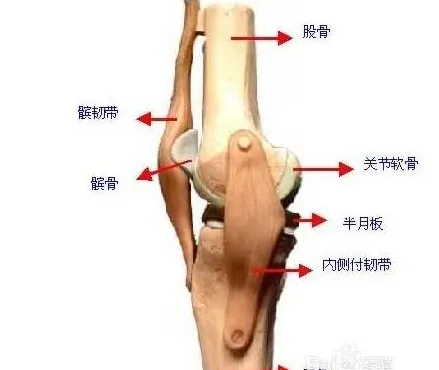 风湿性关节炎三则民间外治法 | 常识大全