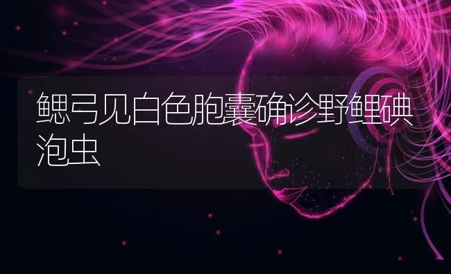 鳃弓见白色胞囊确诊野鲤碘泡虫 | 养殖知识