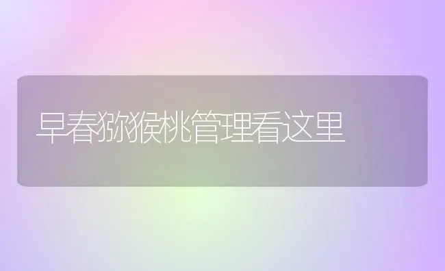 早春猕猴桃管理看这里 | 养殖技术大全