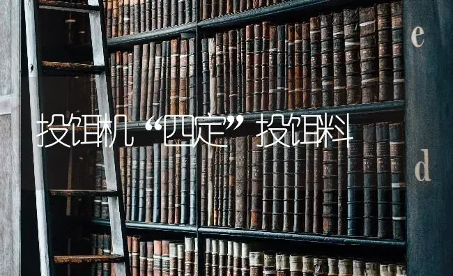 投饵机“四定”投饵料 | 养殖知识