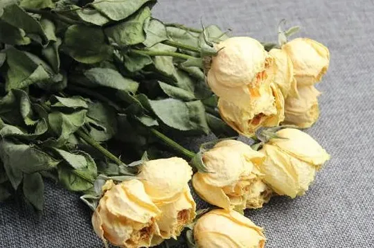 玫瑰花怎么保存成干花,玫瑰花怎么风干？