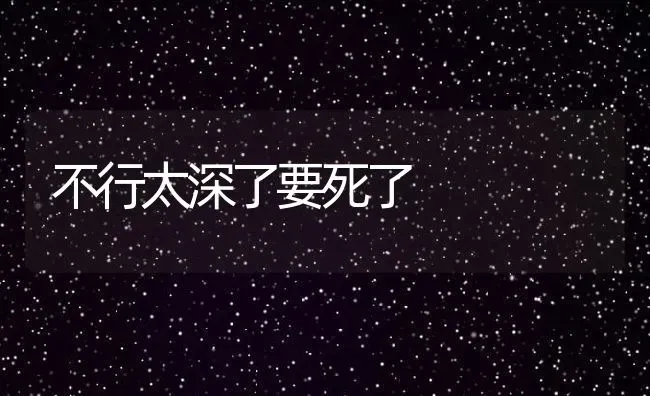 滴耳液有哪几种,中耳炎滴耳液有哪几种 | 养殖科普